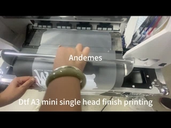 Μοντέλο A3 Μίνι 13 ιντσών DTF εκτυπωτής με CMYKW μελάνι σκόνη Shaker φούρνο και δύο XP600 κεφαλές