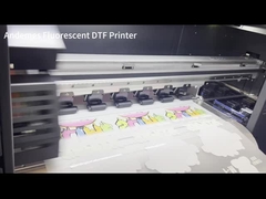 DTF Inkjet Printer I3200 24 ιντσών Μέγεθος εκτύπωσης 400 KG Δυνατότητα εκτύπωσης με μεταφορά θερμότητας